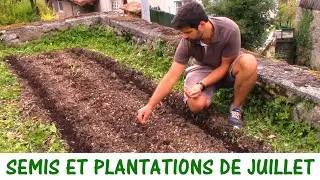 QUE SEMER ET PLANTER EN JUILLET ?