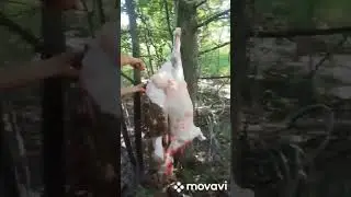ШАШЛИККА ТАЙЁРГАРЛИК РОССИЯ