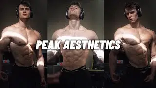 PEAK AESTHETICS - David Laid Gym Motivation
