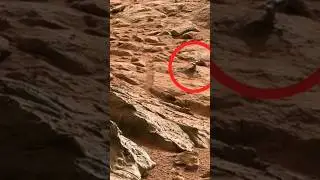 Mars’ta Keşfedilen İnanılmaz Obje! 