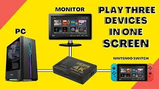 How To Use A PC And Nintendo Switch In One Monitor Without Removing HDMI Cables
