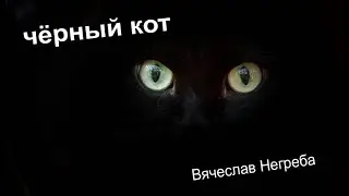 Чёрный кот. Вячеслав Негреба