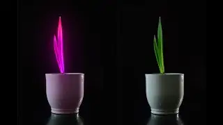 Photoshop Tutorials : Glow Effect | Photoshop light Effect