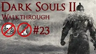 Dark Souls 2 No Death, No Bonfire Walkthrough Part 23 (SotFS) - Aldia's Keep