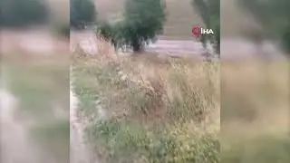 Seyitgazi ilçesinde sel felaketi