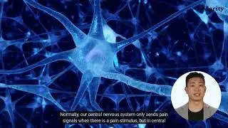 What Is Central Pain Syndrome?