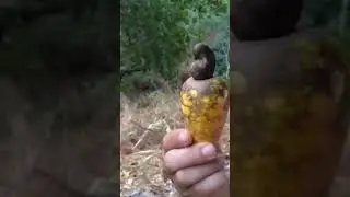 Esse é invocadin