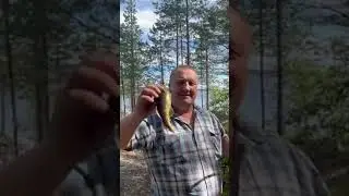 Третье сентября#shortsvideo