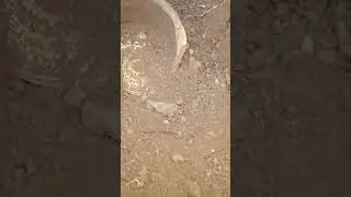 Paha Biçilmez Define Bulunma Anı treasure !!