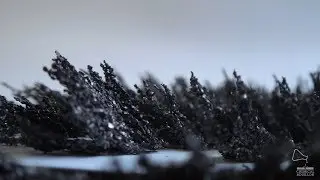 Magnetic Field lines I - Play with Iron Filings - Magnetic Field Viewer