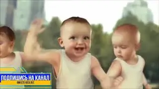 отборный мат