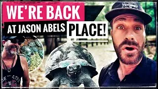 We have a big Galapagos Tortoise Surprise!