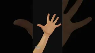 Мобилизация руки)