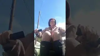 ПАВОДОК ОРЕНБУРГСКОЙ ОБЛАСТИ Рассада скручивает листья