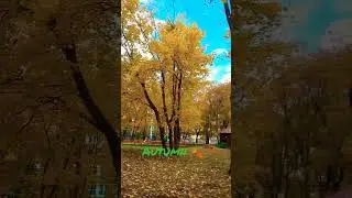 Autumn 🍂 🌱 || Welcome Autumn Season ❣️ || Medical Student life in Russia || Indian in Russia ||