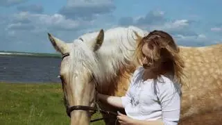Лошади. Аэросъемка в Краснодаре и Геленджике