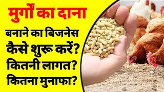 How to start poultry feed making business in India |poultry feed banane ka business kaise shuru kare