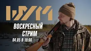 Шум. Воскресный стрим: разговоры об оружии