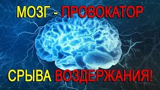 МОЗГ - ГЛАВНЫЙ ПРОВОКАТОР СРЫВА ВОЗДЕРЖАНИЯ!