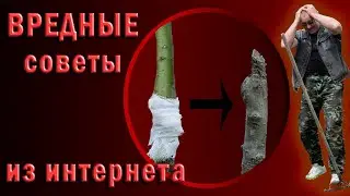 Как не загубить молодые деревья | ГРАБЛИ