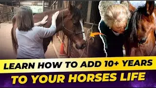 Add 10+ Years To Your Horse's Life & Keep Them Happy, Healthy, Sound & Rideable Through Their 30's!