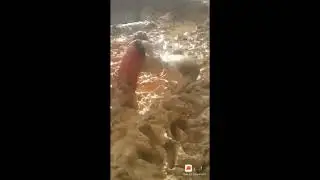 Kumpulan vidio kocak di jamin ngakak