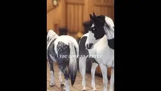 #ssoedit #horse #starstableonlinehorses #edit #starstableonlinene #horsegame #starstableonlineedit