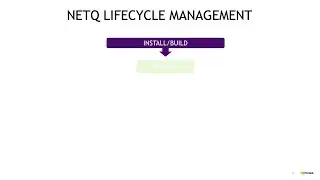 NVIDIA Cumulus NetQ lifecycle management
