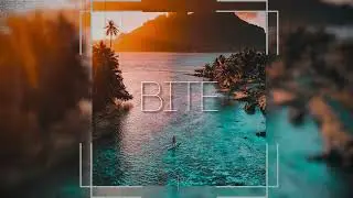 Dancehall Instrumental - "Bite" | Afrobeat Type Beat