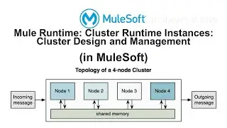 Mule Runtime: Cluster Runtime Instances: Cluster Design and Management (in MuleSoft)