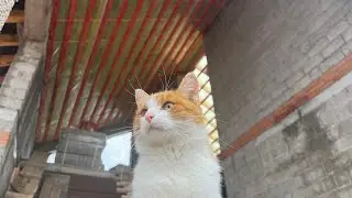 Монтаж кровли