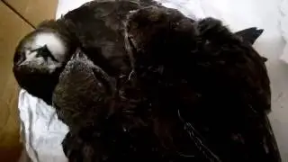 И так постоянно :) хорошо, когда не один