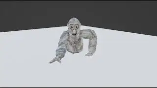Monkey Jump | Second Animation