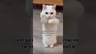 Фигня