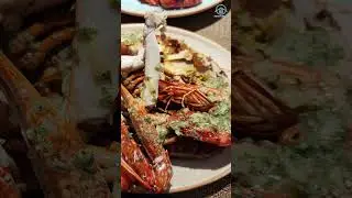 PARKROYAL COLLECTION Kuala Lumpur Fabulous Seafood Buffet Dinner