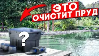 The BEST Pond Filter | Preparing Your Pond for Winter | Chinese Filter or Luxprud Swamp Filter?