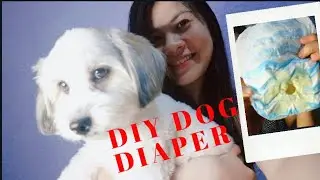 SIMPLE DIY DIAPER FOR MY LHASA APSO | Jv liked