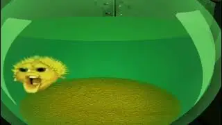 Meu Deus Meu Senhor Me Ajuda Por Favor Meme Tik Tok