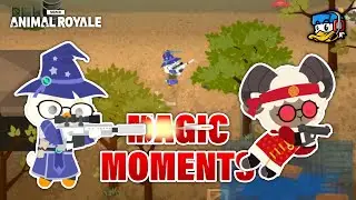 Astralis✨ | a Super Animal Royale Montage | LiamxF | #sar