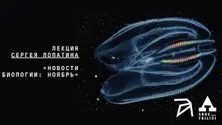 Сергей Лопатин: Новости биологии. Ноябрь 2024.