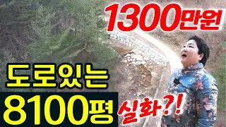도로있는 8100평이 1300만원에 나왔습니다│강원도 삼척