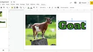 Google Slides - Order & Alignment