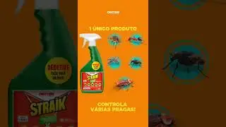 DEDETIZE VOCÊ MESMO!