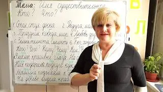 Имя существительное. Кто? Что?