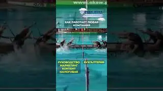 Как работает любая компания... #бизнес #стартап #юмор