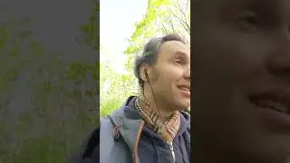Массовые жер*вы и МЧС: кто ответит за бардак?!