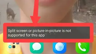 Fix Split screen or picture-in-picture is not supported for this app problem solve in vivo phones