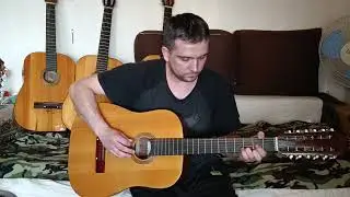 12 струнна луначарка