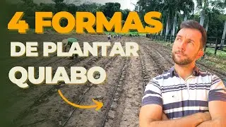 4 formas de plantar quiabo