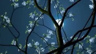 Тайные Планы Глобализма